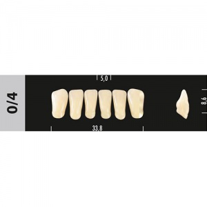 Стоматорг - Зубы Major C2 0/4 фронтальный низ, 6 шт (Super Lux)