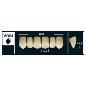Стоматорг - Зубы Yeti C4 VO54 фронтальный верх (Tribos) 6 шт. 