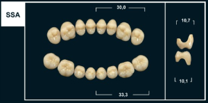 Стоматорг - Зубы Yeti D2 SSA жевательный верх (Tribos) 8 шт.