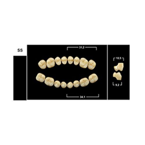 Стоматорг - Зубы Yeti C4 SS жевательный верх (Tribos) 8 шт.