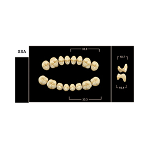 Стоматорг - Зубы Yeti A2 SSA жевательный низ (Tribos) 8 шт.