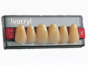 Стоматорг - Зубы Ivocryl Набор из 6 зубов Chromascop фронт. верх. 11 130.